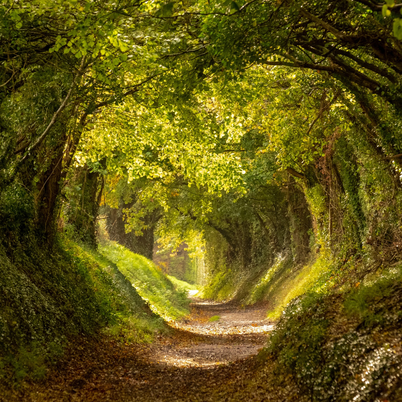 Support Structures Audit